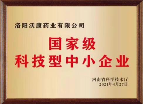 国家级科技型中小企业