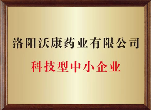 科技型中小企业证书