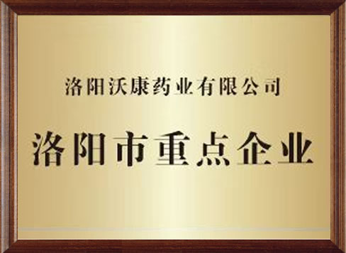 洛阳市重点企业